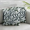 Ulloord Eucalyptus Leaves pillow Covers Spring pillows Decorative Throw pillows pillowcase Summer Decorations Farmhouse Decor for Sofa