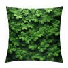 Ulloord St Patricks Day pillow Covers St Patricks Day Decorations for Home Lucky St Patricks Day Decorative Throw pillows Farmhouse St Patricks Day Decor