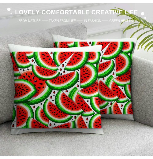 Ulloord Summer pillow Covers pillows Decorative Throw pillows Summer Decorations Farmhouse Decor Cushion Case for Sofa Couch