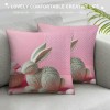 Ulloord pillow Covers, Rabbits Bunny Farmhouse Decorative Throw pillowcases for Home Sofa Couch Decoration