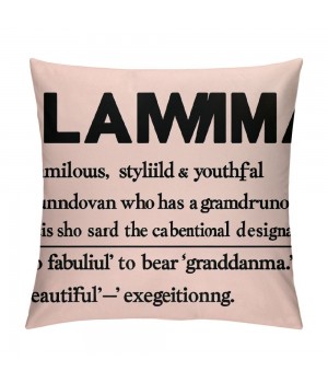  Definition Decorative Throw pillow Case Cover, Appreciation Gift Decorations for Home Bedroom, Birthday from Grandson Granddaughter