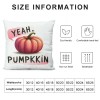 Ulloord  Pumpkin pillows Decorative pillow Case Super Soft Autumn Thanksgiving Decor Deep Pink Pumpkin pillow CoversSquare Welcome Fall Cushion Cover for Home Sofa