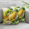 Ulloord  Fruit pillow Covers Fresh Lemon with Green Leaf Decorative pillow Cover Square pillowcase Decor Indoor Outdoor Home Couch