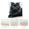  pillow Covers Animal&nbsp;Adorable Cat Decorative pillow Covers Oil Painting pillowcase Square Cushion Covers