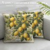 Ulloord  Lemon Throw pillow Covers&nbsp;Tropical Summer Beach Fruit Lemon&nbsp;Decorative pillow Covers Decorative Cushion Cover (Lemon)