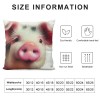 Ulloord pillow Covers Abstract Adorable Funny Animal Pig Throw pillow Covers Square pillowcase Cushion Cover for Home Sofa Couch Car Decoration 