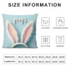 Ulloord pillow Covers, Rabbits Bunny Buffalo Plaid Striped Truck Egg Farmhouse Decorative Throw pillowcases for Home Sofa Couch Decoration (Blue) 