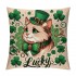 PHYHOO St Patricks Day pillow Cover Cat Decor Farmhouse Holiday Spring pillow Case Decorations for Home Sofa Bedroom