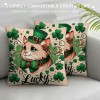 PHYHOO St Patricks Day pillow Cover Cat Decor Farmhouse Holiday Spring pillow Case Decorations for Home Sofa Bedroom