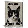 QKZF Cat Are You Pooping Sign Cat Wall Decor Cat Lovers Gift Modern Wall Art Framed For Bathroom Restroom Toilet Home Bar Restaurant Cafe Shop