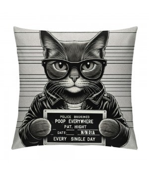 PHYHOO cat Sunglasses Holding Sign Soft Throw pillow Covers Cushion Cover Decor for Sofa Bed Cat Lover Gifts, Cat pillow Cover