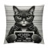 PHYHOO cat Sunglasses Holding Sign Soft Throw pillow Covers Cushion Cover Decor for Sofa Bed Cat Lover Gifts, Cat pillow Cover