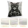 PHYHOO cat Sunglasses Holding Sign Soft Throw pillow Covers Cushion Cover Decor for Sofa Bed Cat Lover Gifts, Cat pillow Cover