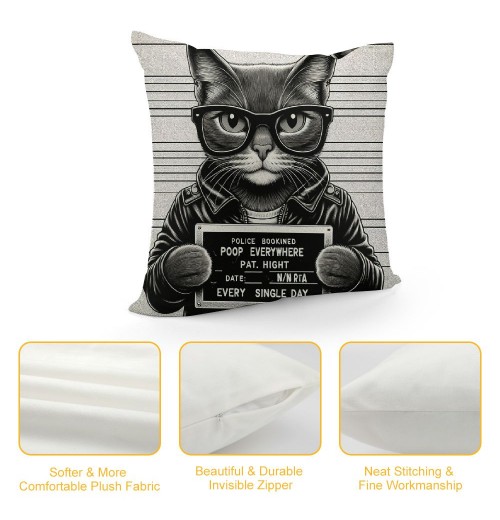 PHYHOO cat Sunglasses Holding Sign Soft Throw pillow Covers Cushion Cover Decor for Sofa Bed Cat Lover Gifts, Cat pillow Cover