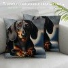 PHYHOO Short Plush pillow Covers,Black Long-Haired Dachshund Dog Double-Sided Print Square Cushion Cases for Sofa Bedroom Car Decorative