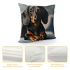 PHYHOO Short Plush pillow Covers,Black Long-Haired Dachshund Dog Double-Sided Print Square Cushion Cases for Sofa Bedroom Car Decorative