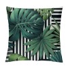 PHYHOO Short Plush pillow Covers Tropical Palm Tree Leaves Square pillow Case for Bedroom, Sofa, Car Decoration Both Sides