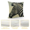 PHYHOO Short Plush pillow Covers Animal Vivid Head Square pillow Case for Bedroom, Sofa, Car Decoration Both Sides